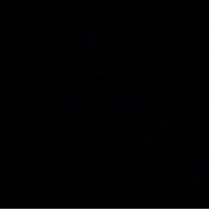 Meet your Posher, Savannah